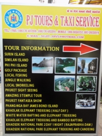 P J Tours and Taxi Service - Services