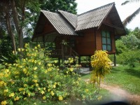 Nurisa Bungalow - Accommodation