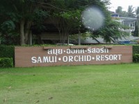 Samui Orchid Resort - Accommodation