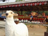 Pottery Shop - Shops